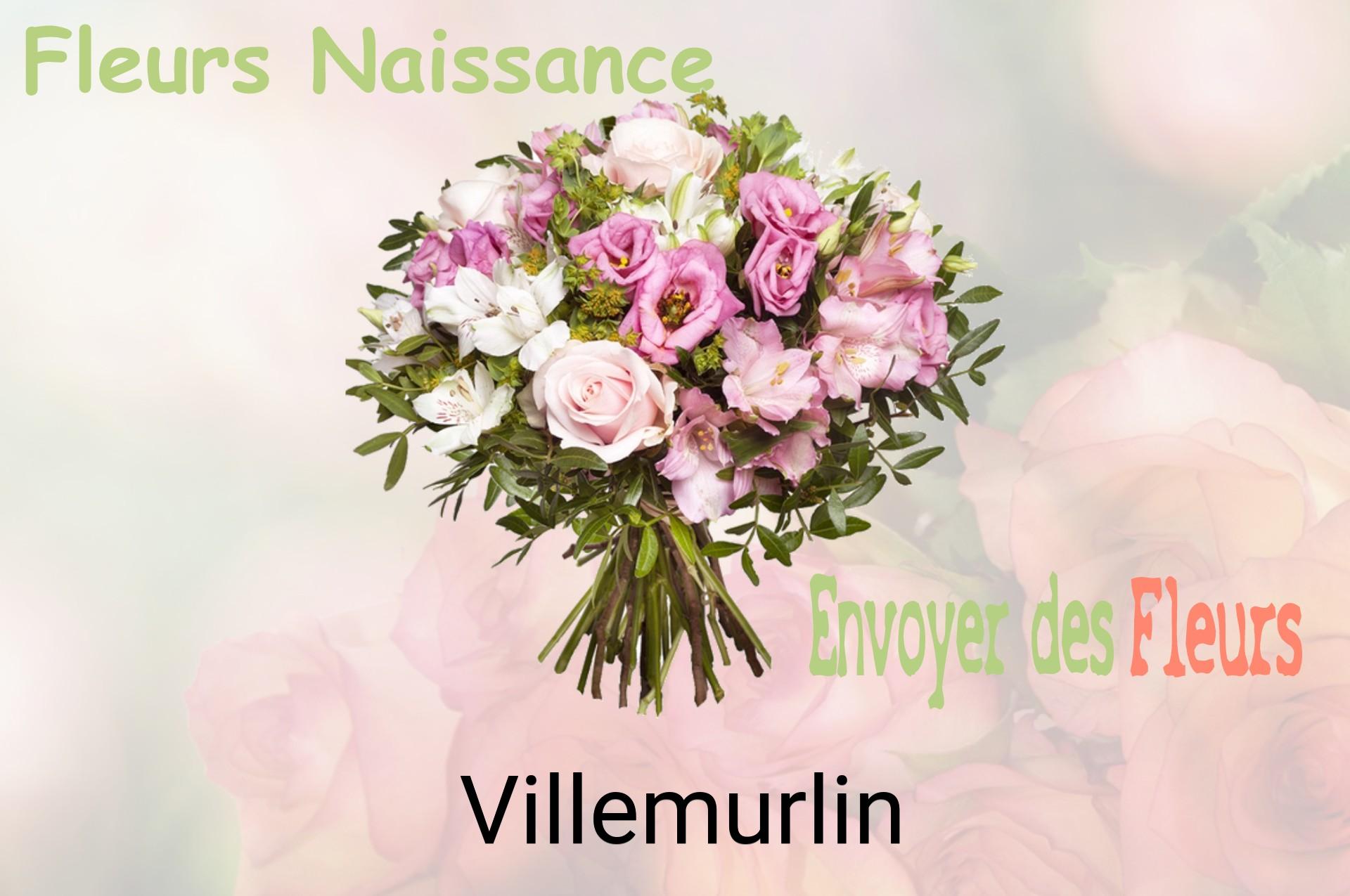 Bouquet de fleurs de naissance livré à Villemurlin